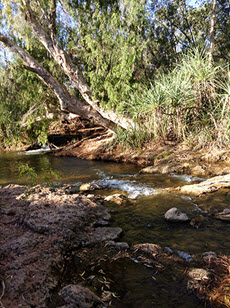 Albert River, near Burketown, North Queensland